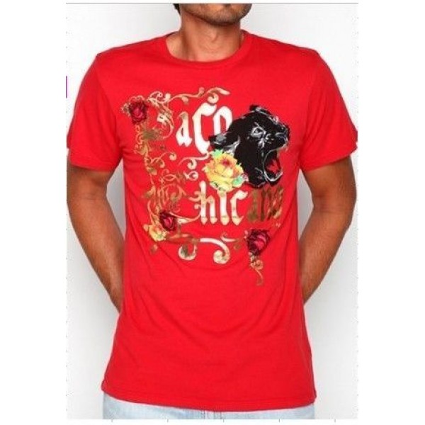 Ed Hardy T Shirts For Men 11244